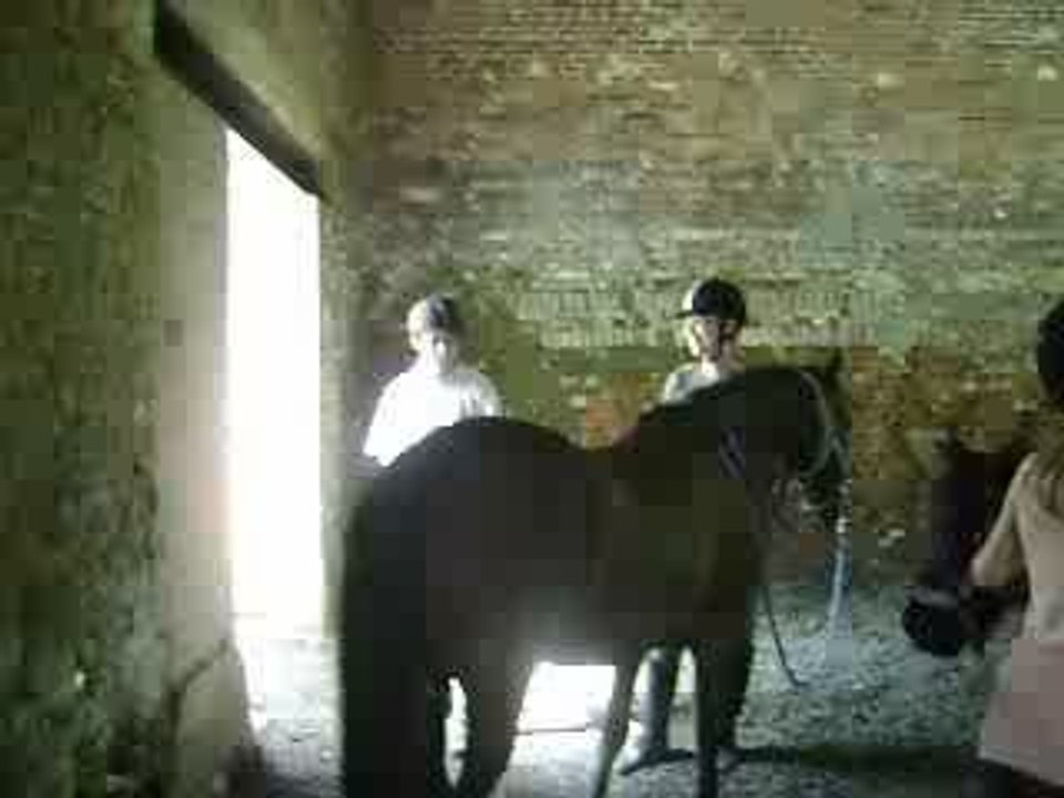 Carole monte sur osi