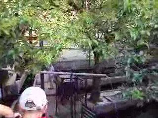 ST GUILHEM DU DESERT