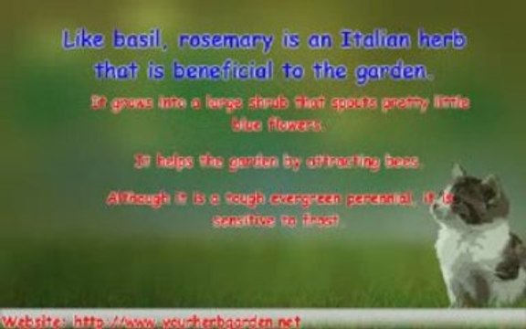 Italian Herb Garden