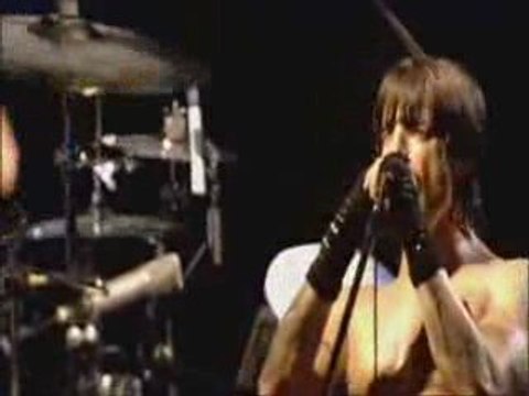 red hot chili peppers don't forget me(live)(by sefa döner)