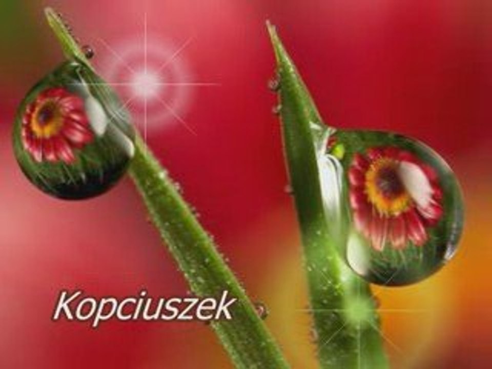 kopciuszek