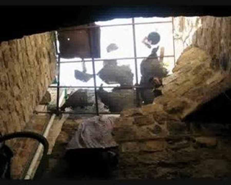 Philippe Genty en Palestine