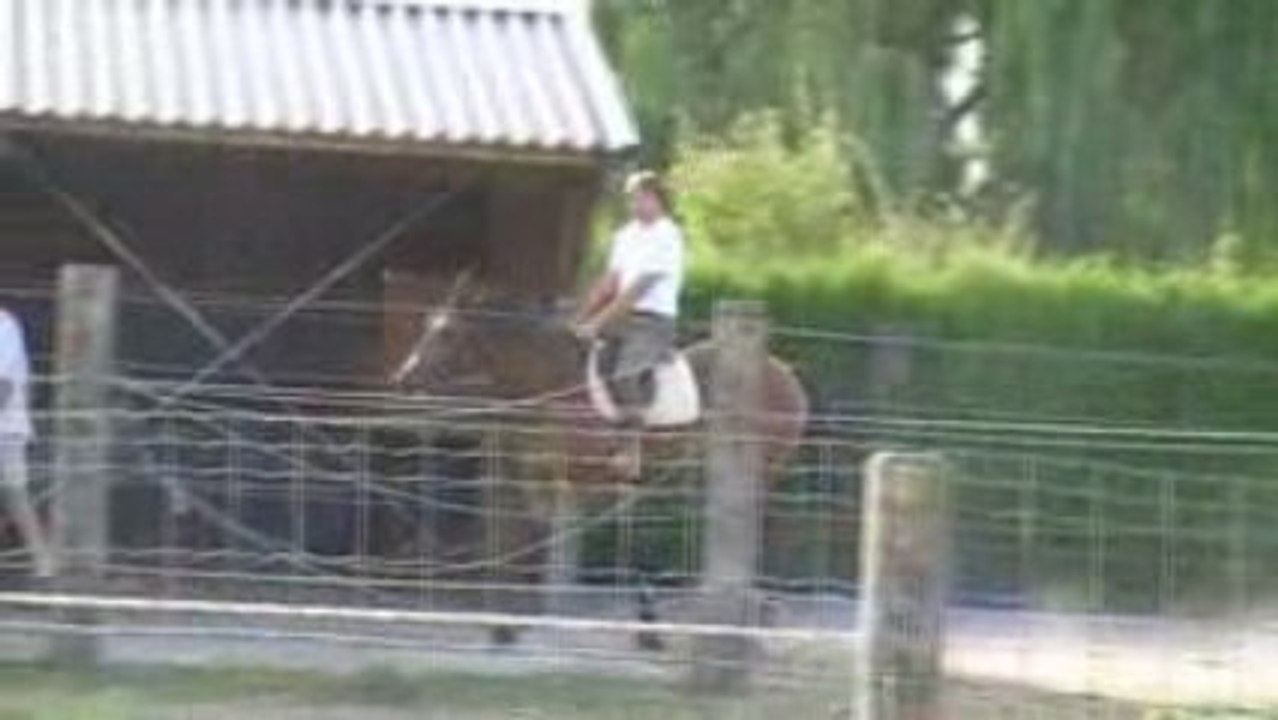 Affixe d'Hoyo monté