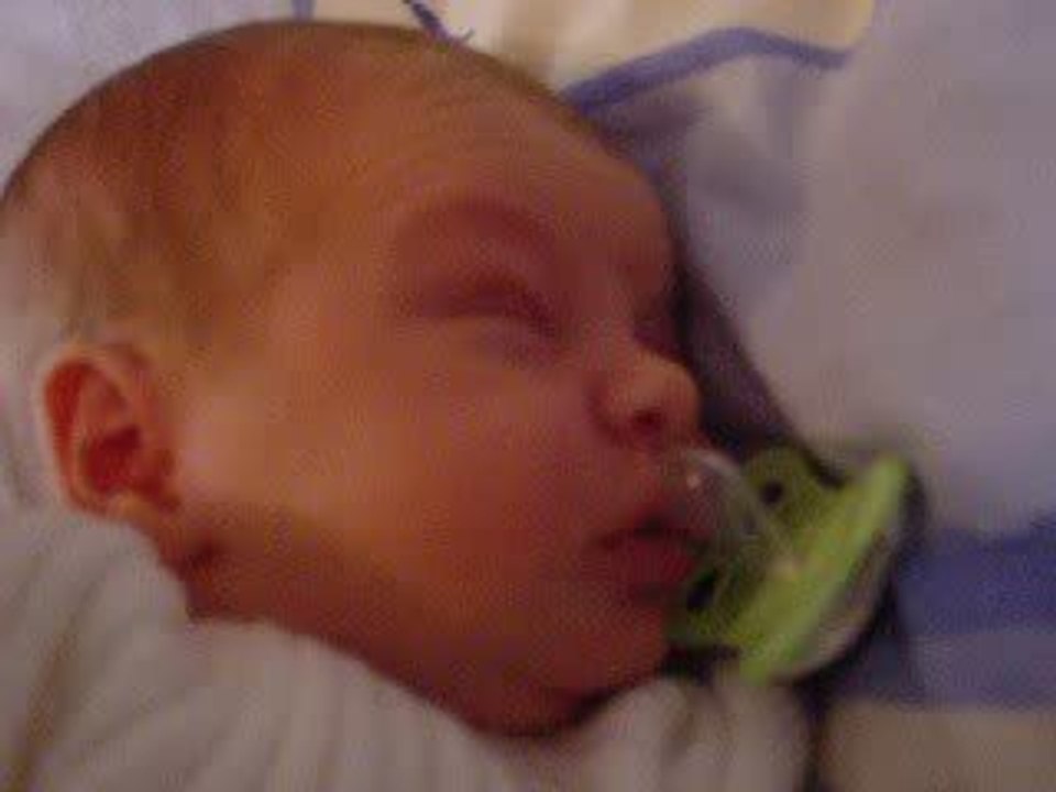 Mon loulou à 4 jours