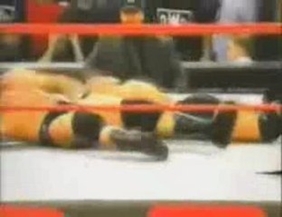 Brock Lesnar TItantron2