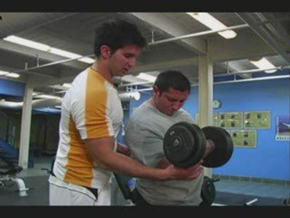 Body Muscle Building and Muscle Gain Tips- The bare facts