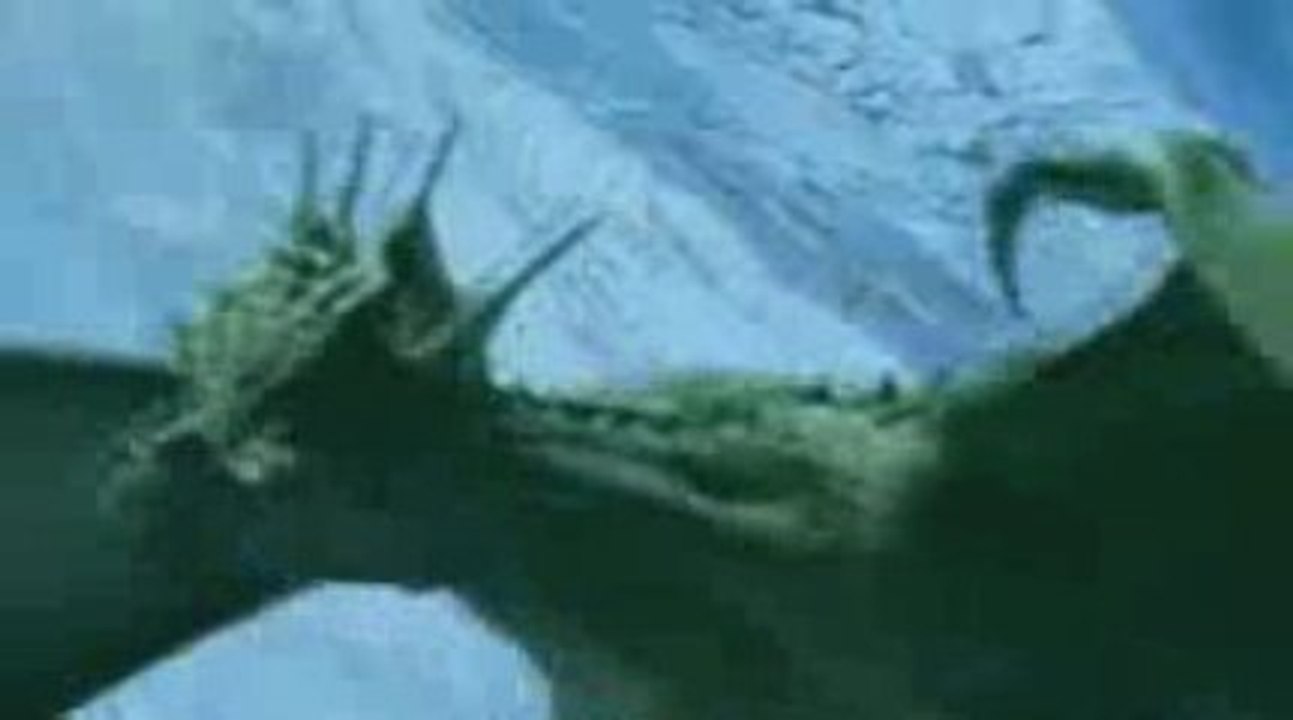 dragons et s ils avaient existe/7\