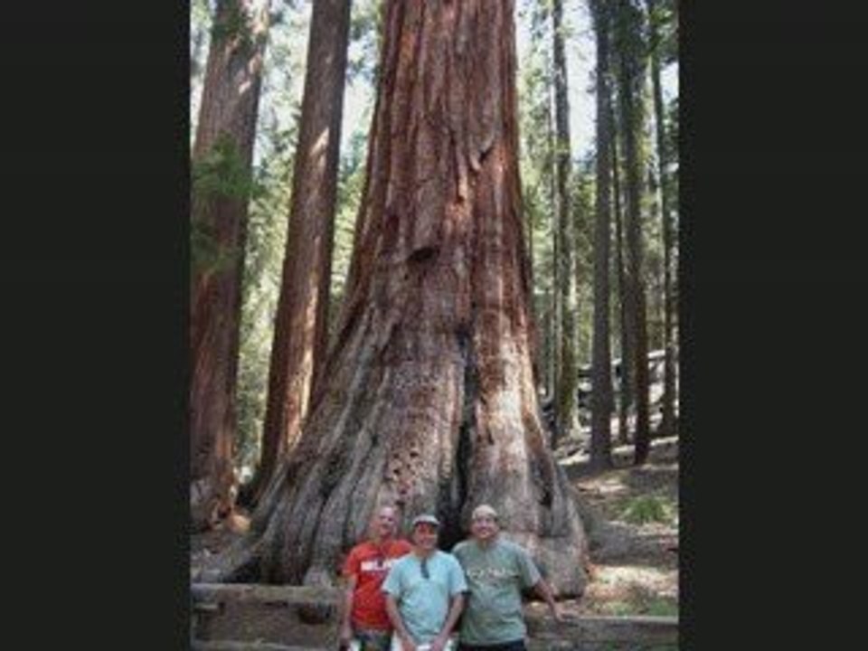 Parc National de Yosemite - été 2009