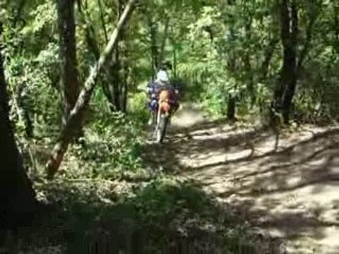 beta fantic enduro