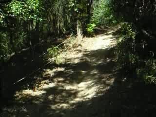 beta fantic enduro