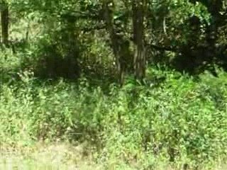 beta fantic enduro