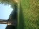 Miniature DailyMotion