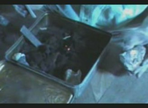 Faire du Feu comme nos ancêtres - Acier+silex(1/2)