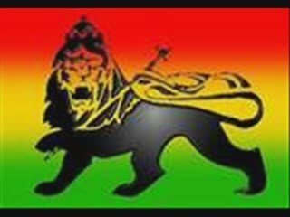 Nucleus Roots - Still here -