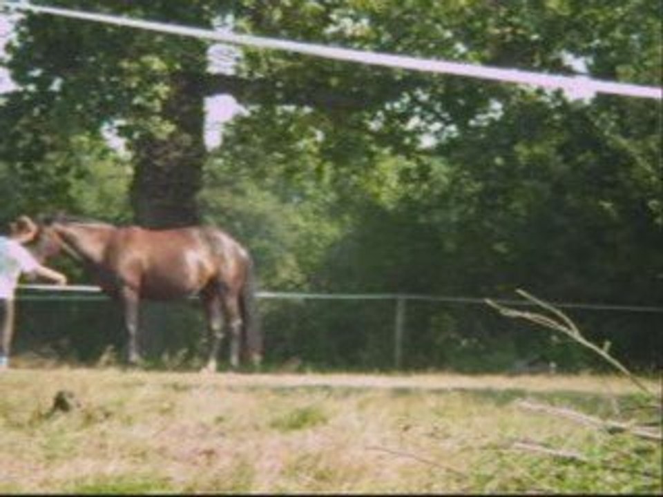 Montage photo / vidéo Liberté ect.. Pauline et Paty