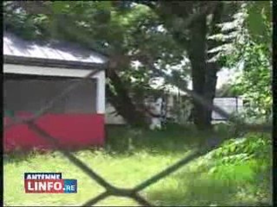 actualité santé à la Réunion: CHIKUNGUNYA