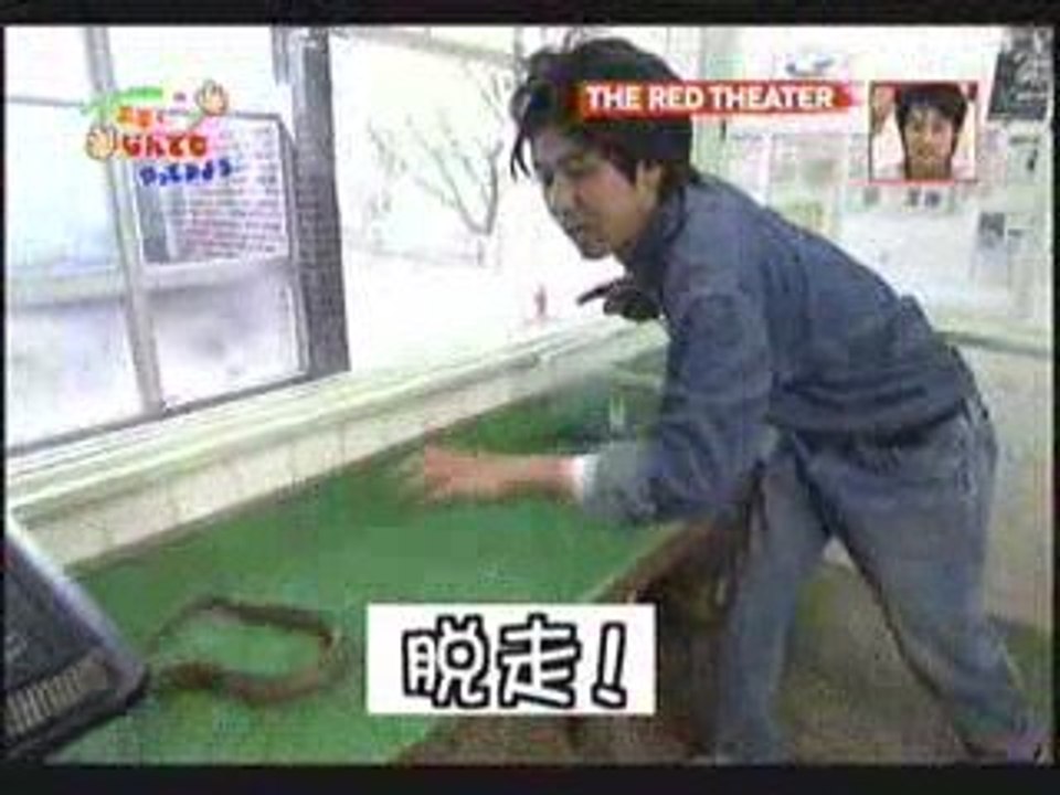 蛇