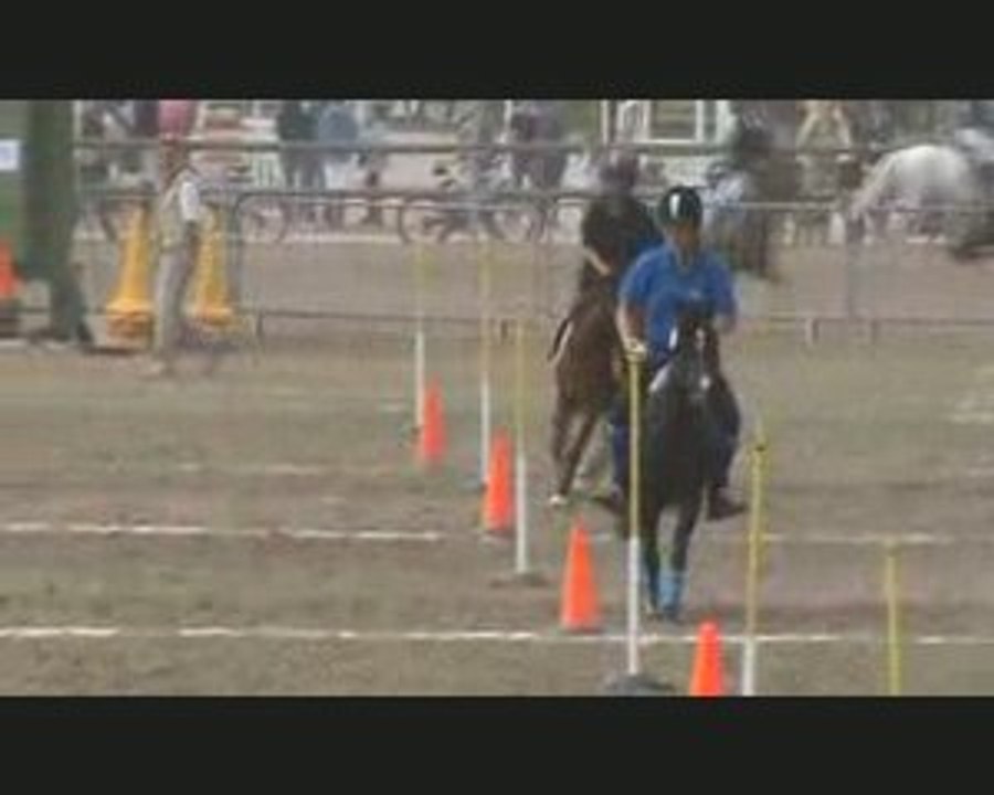 Championnat de france 2009 pony games