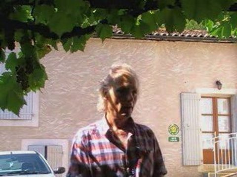 Les plantes medicinales