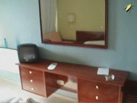 VERANO 2009. ARA PACIS DE LAS PAJAS