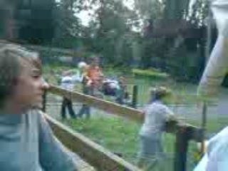 choji sur un taureau mdr