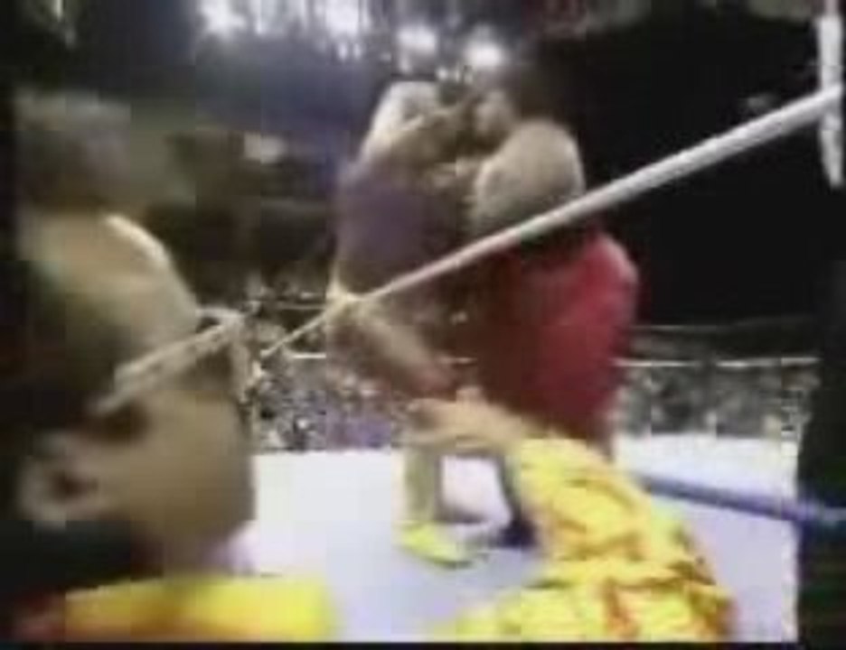 Yoko vs Hulk