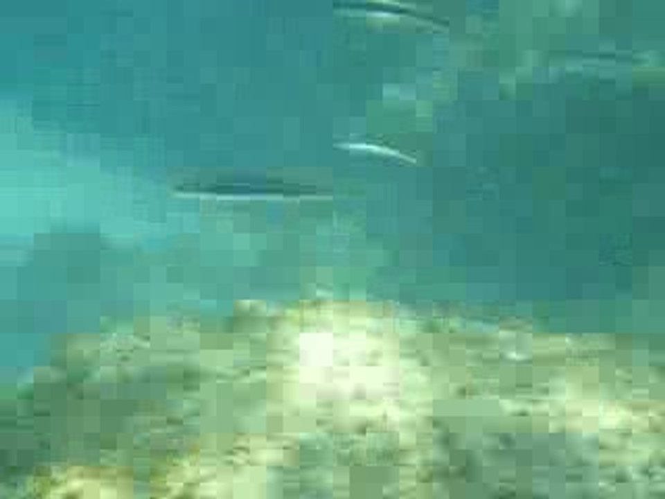 snorkeling en espagne costa brava 2009