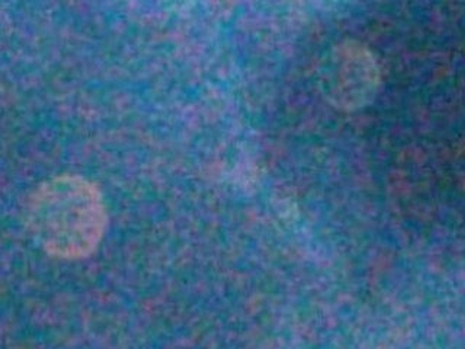 Meine Orbs -Fotos (5)