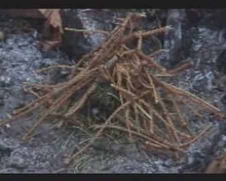 Faire du Feu comme nos ancêtres - Allumage du Feu (1/5)