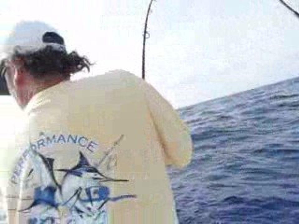 Mahi Mahi Drill