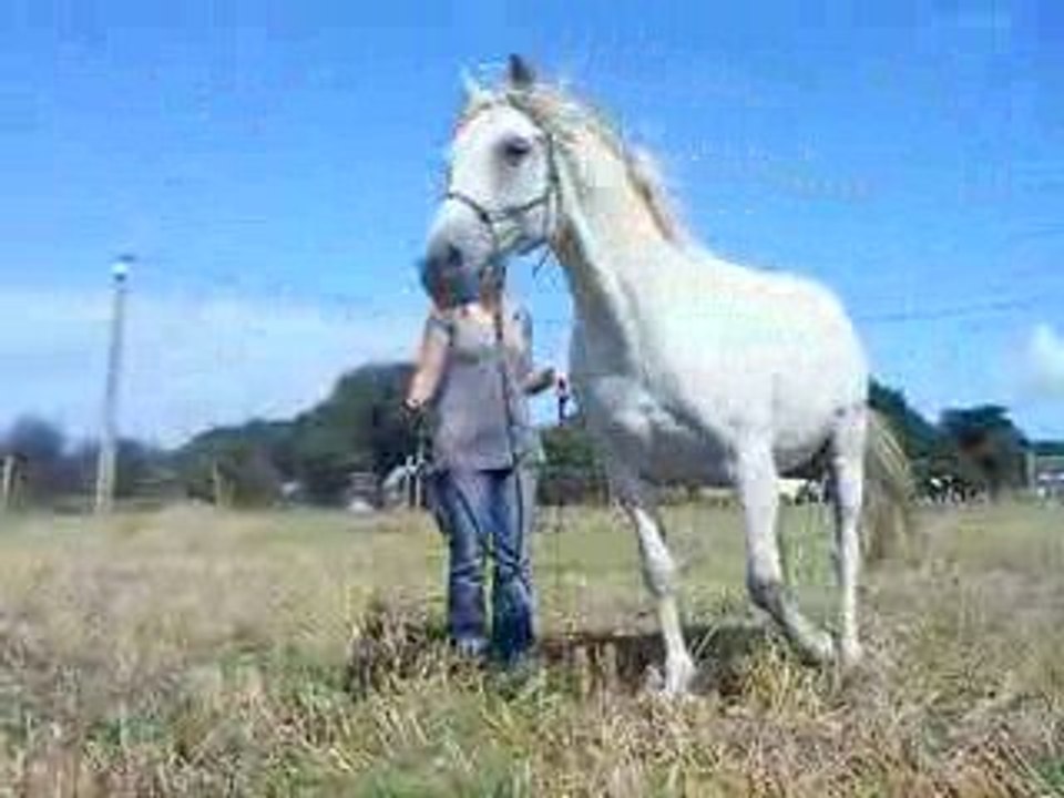 MARIO jeu du cercle 21/08/09
