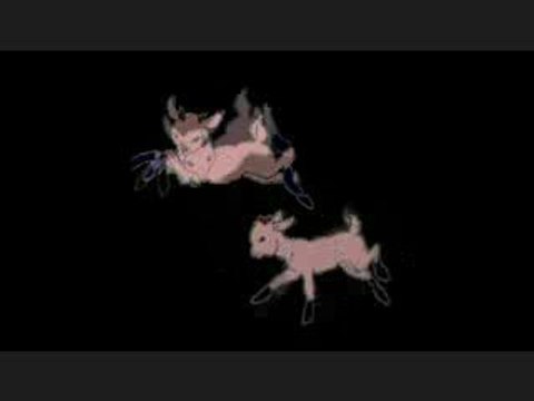 Animaux de la ferme pédagogique du Fays dans l'Yonne