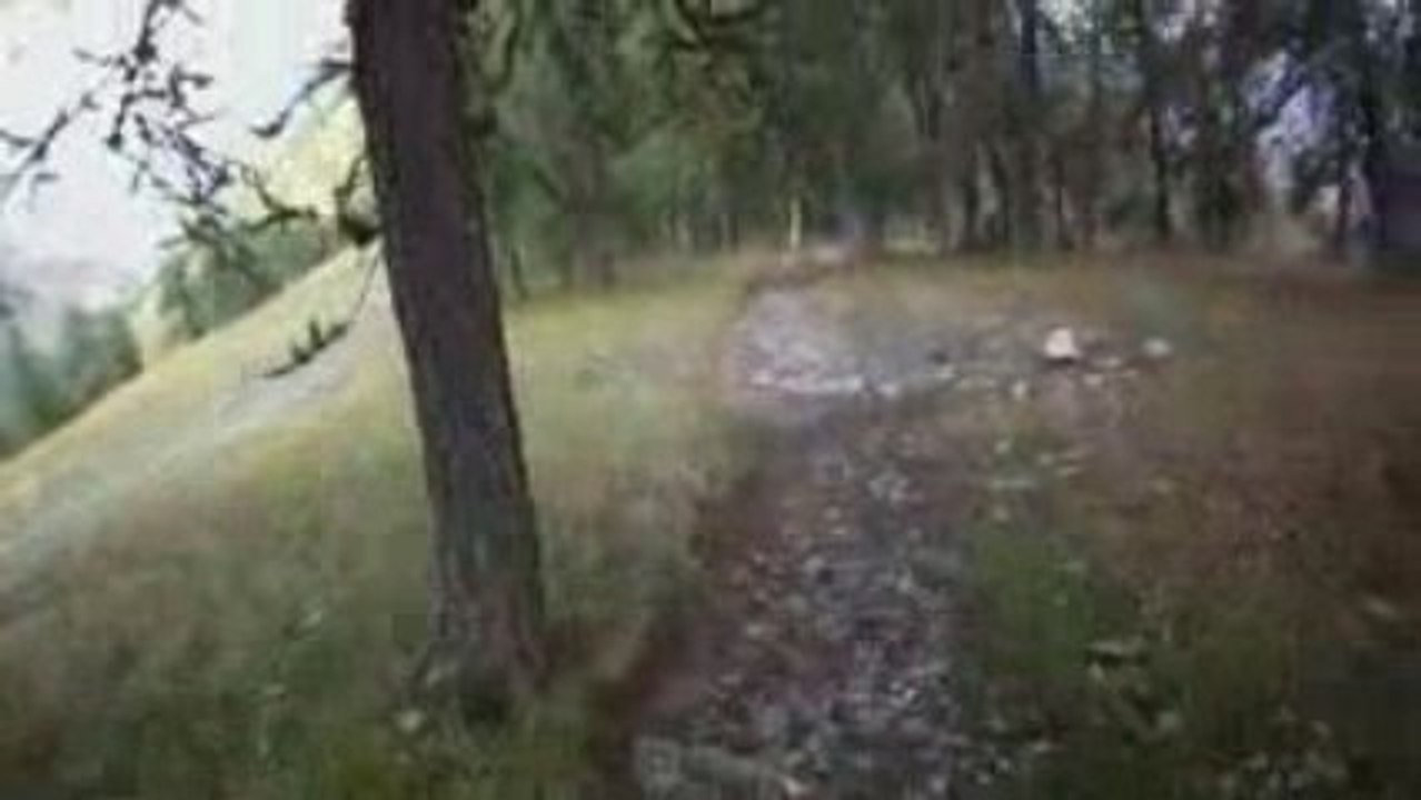 Decouverte des sentiers VTT de la Colmiane.