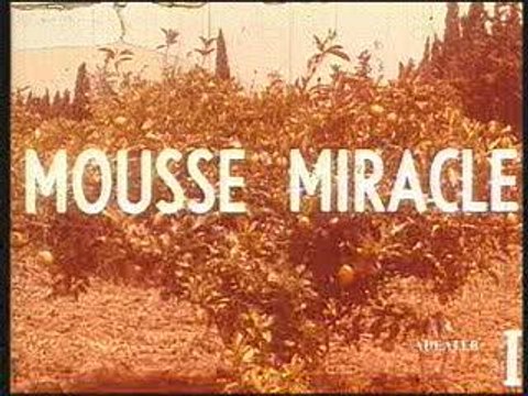 Publicité algérienne de la lessive OMO