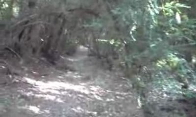 poser avec freddy et le quad