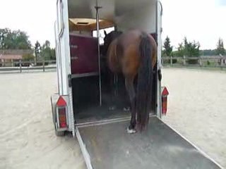 Quiator monte ds le van 1