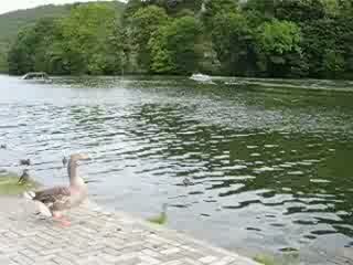 SIBYLLE ET LE CANOT A MOTEUR  MI AOUT 2009 007