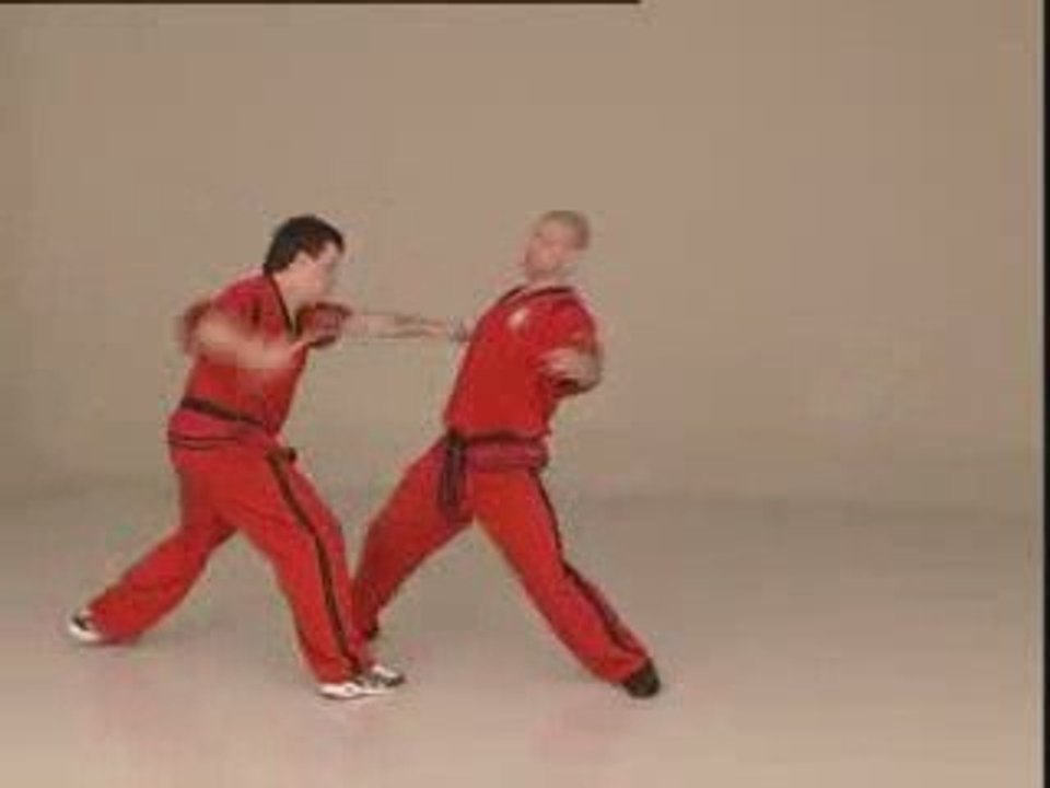 Frans Stroeven - doce pares europe