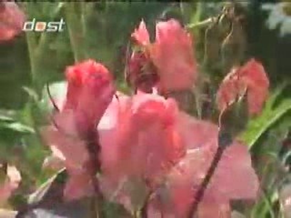 Beş vakit namaz hikmetleri