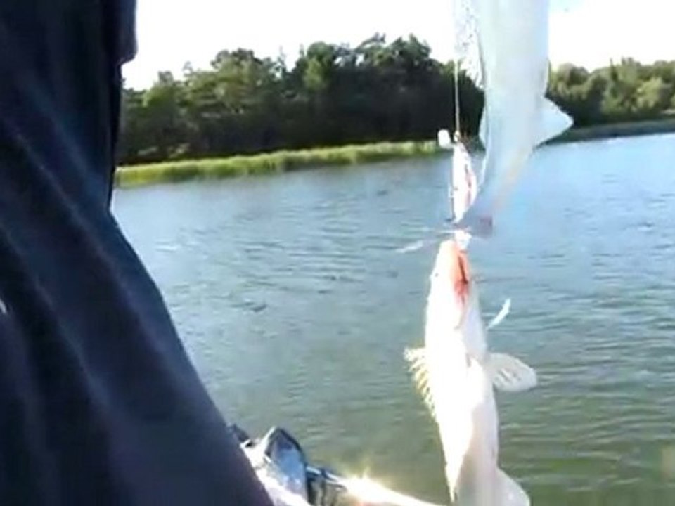 21.8.2009 SUDAK AVIM & CESITLI FOTOLAR 006