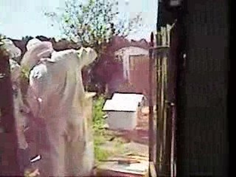 la récolte de miel 2009