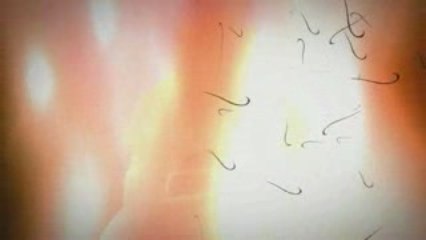 World of Warcraft : Cataclysm