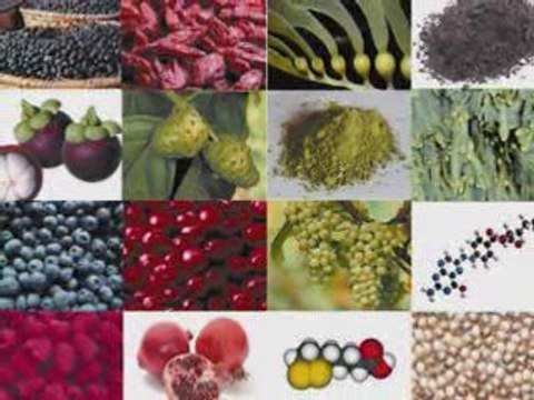 Health Supplement Chews 4 Health