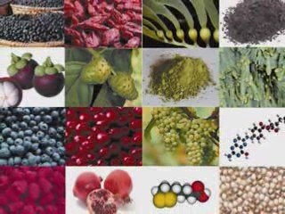 Health Supplement Chews 4 Health