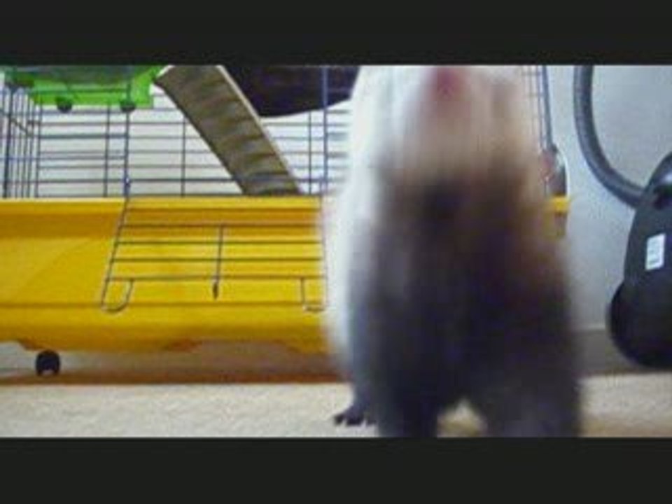 mOntage de mes petites fufu