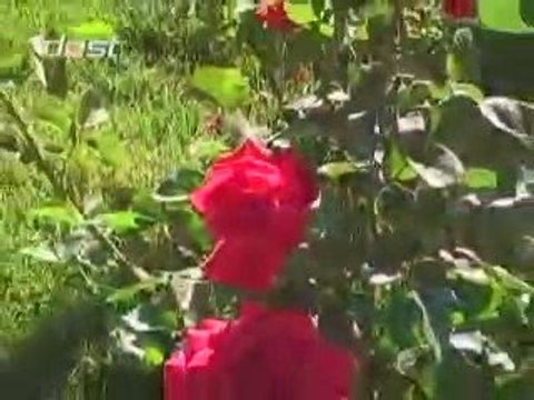 Hoşgeldin Ramazan Hoş geldin