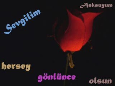 Müslüm Gürses-Herşey Gönlünce Olsun