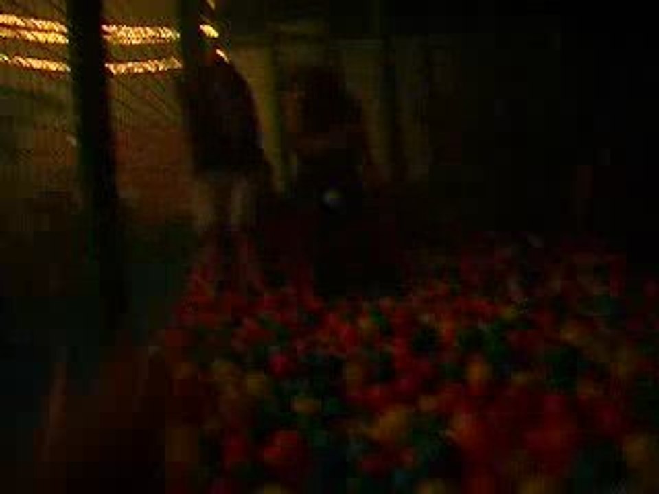 Bataile de boule :P