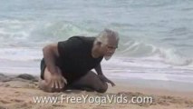Yoga for Beginners, iyengar yoga poses