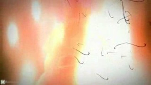 World of Warcraft: Cataclysm Blizzcon Official Trailer [HD]